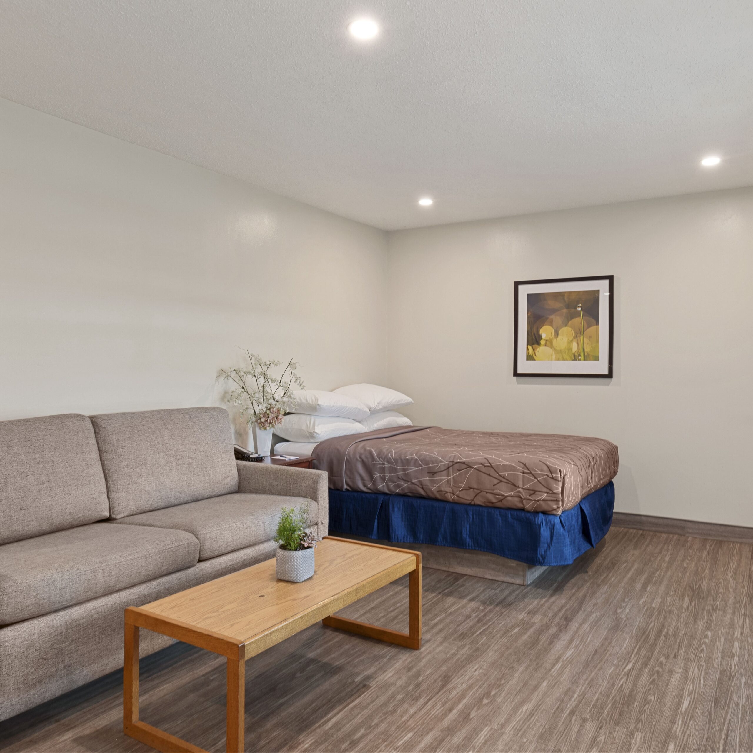 Queen Double Sofabed Full Kitchen