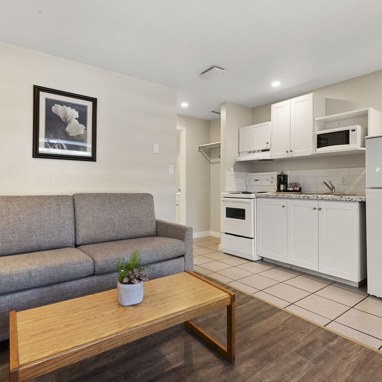 Queen Sofabed Full Kitchen